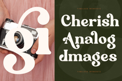 Majesty Regilast Modern Serif Product Image 9