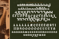 Majesty Regilast Modern Serif Product Image 19