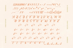 Make Unique  Bold Calligraphy Font Product Image 16