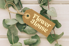 Maker Today - Expressive Retro Serif Product Image 4