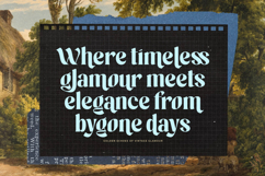 Maker Today - Expressive Retro Serif Product Image 10