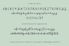 Makewild Script Product Image 10