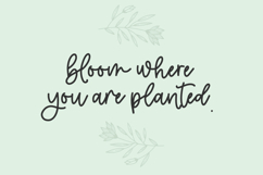 Makewild Script Product Image 2