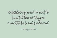 Makewild Script Product Image 7