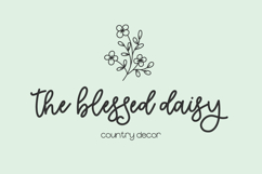 Makewild Script Product Image 8