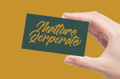 Malgent Husked Bold Script Font Product Image 2