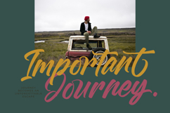Malgent Husked Bold Script Font Product Image 11