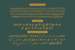 Malgent Husked Bold Script Font Product Image 13