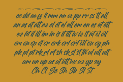 Malgent Husked Bold Script Font Product Image 14