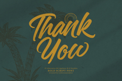 Malgent Husked Bold Script Font Product Image 15