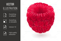 Realistic raspberries Product Image 1