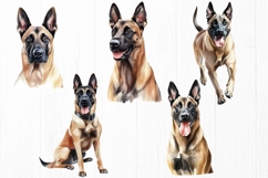 Belgian Malinois PNG Bundle 9 K9 Police Dog Clipart Images Product Image 2