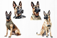 Belgian Malinois PNG Bundle 9 K9 Police Dog Clipart Images Product Image 3