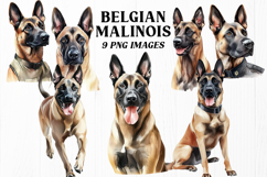 Belgian Malinois PNG Bundle 9 K9 Police Dog Clipart Images Product Image 1