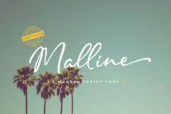 Malline Script Product Image 1