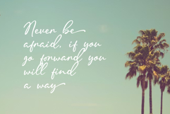 Malline Script Product Image 2