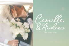 Malline Script Product Image 5