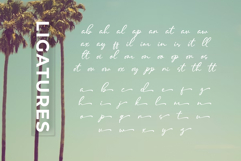 Malline Script Product Image 7