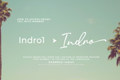 Malline Script Product Image 8