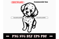 Maltipoo Dog Begging Design SVG PNG DXF EPS PDF Product Image 1