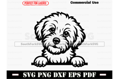 Peeking Maltipoo Dog SVG PNG DXF EPS PDF Product Image 1