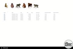 Mandrill Vintage Animal illustration Clip Art, Clipart Product Image 2