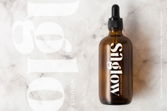 Mango Jungle - Modern Bold Serif Font Product Image 3