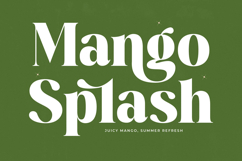 Mango Jungle - Modern Bold Serif Font Product Image 4