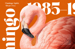 Mango Jungle - Modern Bold Serif Font Product Image 5