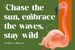 Mango Jungle - Modern Bold Serif Font Product Image 10