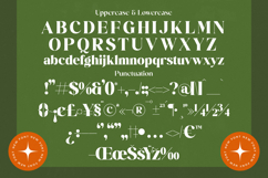 Mango Jungle - Modern Bold Serif Font Product Image 18