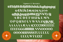 Mango Jungle - Modern Bold Serif Font Product Image 19