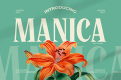 Manica - Modern Serif Font Product Image 1