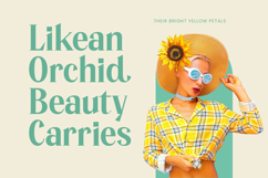 Manica - Modern Serif Font Product Image 8