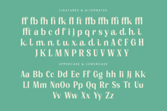 Manica - Modern Serif Font Product Image 18