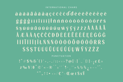 Manica - Modern Serif Font Product Image 19