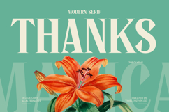 Manica - Modern Serif Font Product Image 20