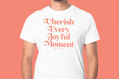 Manile Vintage - Modern Bold Serif Product Image 2