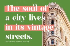 Manile Vintage - Modern Bold Serif Product Image 3