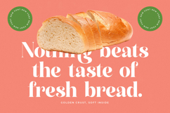 Manile Vintage - Modern Bold Serif Product Image 10