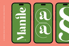 Manile Vintage - Modern Bold Serif Product Image 13
