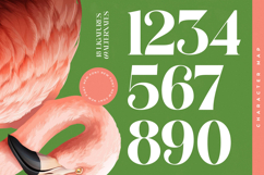 Manile Vintage - Modern Bold Serif Product Image 14