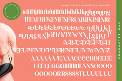 Manile Vintage - Modern Bold Serif Product Image 19