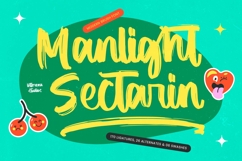 Manlight Sectarin- Modern Brush Font Product Image 1