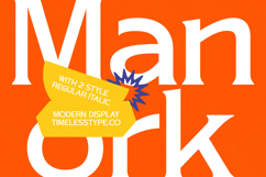 Manork Calme - Modern Display Font Product Image 11