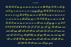 Manteca Backlif Bold Calligraphy Font Product Image 18