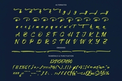 Manteca Backlif Bold Calligraphy Font Product Image 19