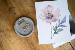 Delicate pastel flowers watercolour Product Image 4