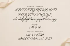 Mantiques Casual Script Wedding Font Product Image 6