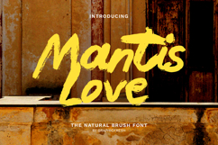 Mantis Love - The Natural Brush Font Product Image 1